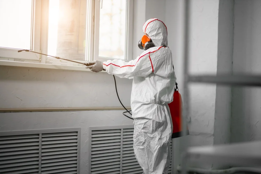 Professional mold remediation services in Antrim, NH